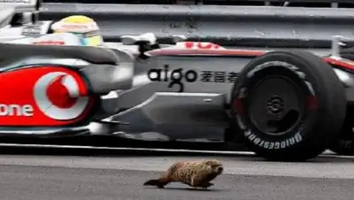 Zakon.kz, фото - Новости Zakon.kz от 19.09.2016 17:46