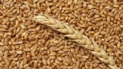 Zakon.kz, фото - Новости Zakon.kz от 16.08.2017 18:00