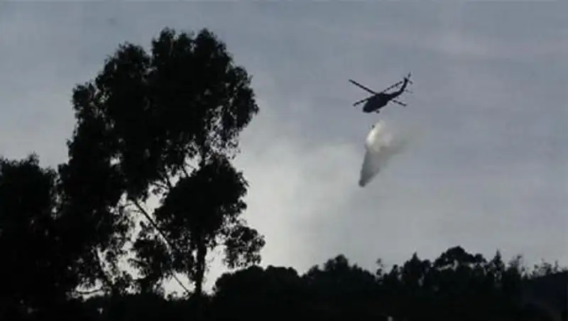 Весь экипаж и пассажиры упавшего в колумбийских джунглях самолета погибли