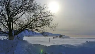 Zakon.kz, фото - Новости Zakon.kz от 27.02.2017 22:04