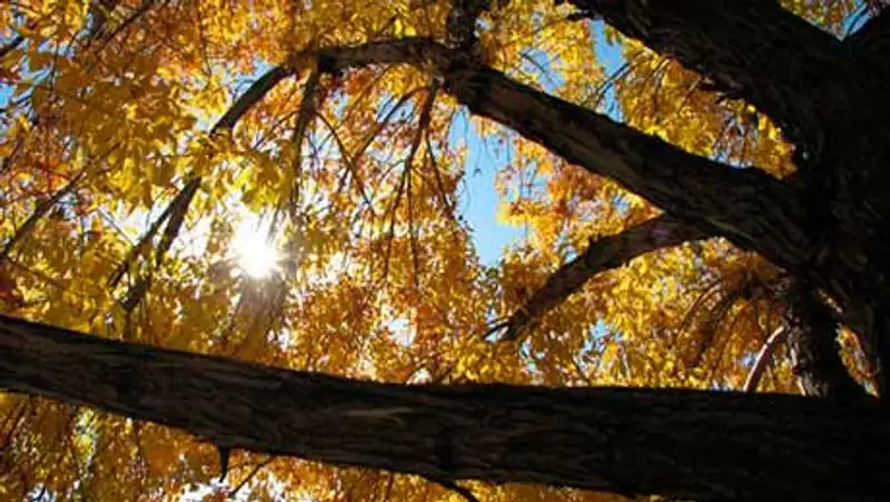 Погода без осадков ожидается сегодня на большей части территории Казахстана, фото - Новости Zakon.kz от 18.10.2013 14:50