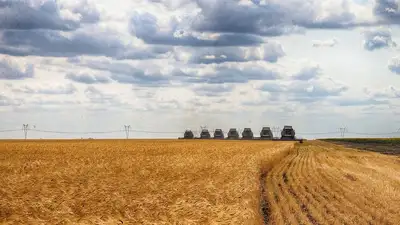 Уборка урожая, дожди, фото - Новости Zakon.kz от 11.09.2023 13:19