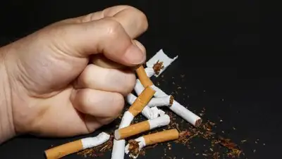 Zakon.kz, фото - Новости Zakon.kz от 15.03.2017 18:29