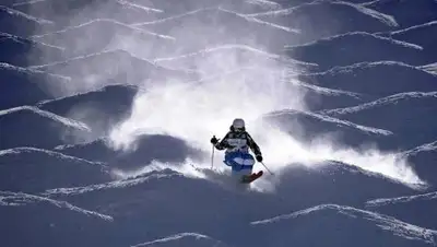 InoProSport, фото - Новости Zakon.kz от 15.03.2018 11:59