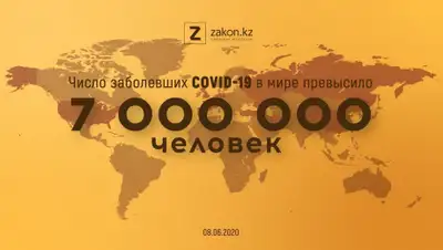 zakon.kz, фото - Новости Zakon.kz от 08.06.2020 07:12