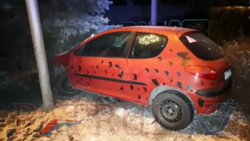 В Алматы женщина на Peugeot с бабочками врезалась в столб