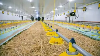 пресс-служба, фото - Новости Zakon.kz от 27.11.2020 16:45