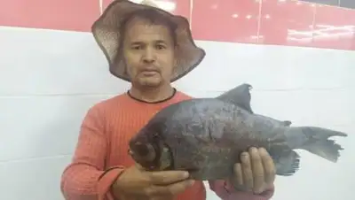 otyrar.kz, фото - Новости Zakon.kz от 25.09.2020 09:17