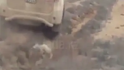 Zakon.kz, фото - Новости Zakon.kz от 25.04.2017 19:08