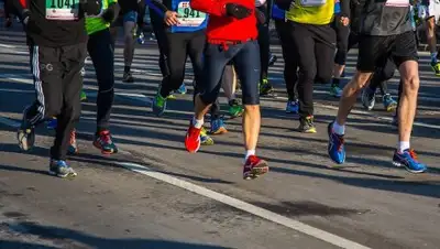 pixabay.com/, фото - Новости Zakon.kz от 14.02.2019 12:25