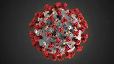 РИА Новости, фото - Новости Zakon.kz от 26.03.2020 18:49