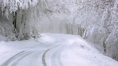 зима, фото - Новости Zakon.kz от 23.02.2023 21:41