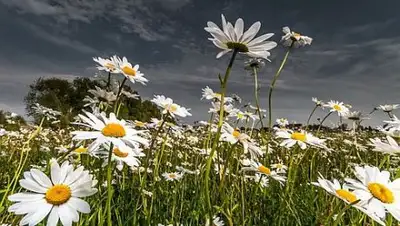 АСН24, фото - Новости Zakon.kz от 06.07.2018 09:52