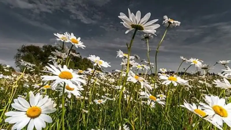 Синоптики рассказали о погоде в День Астаны