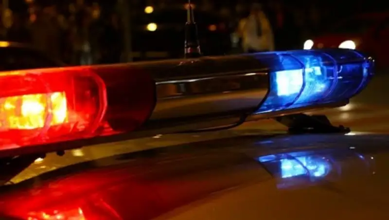 Полицейские Алматинской обл задержали водителя, который насмерть сбил человека и скрылся