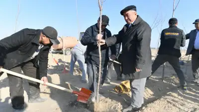 Пресс-служба акима Туркестанской области, фото - Новости Zakon.kz от 16.11.2019 20:38