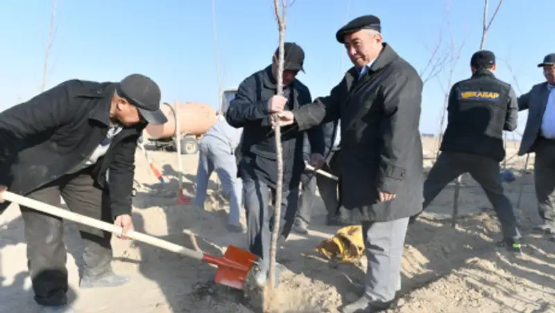 Туркестан - к 2023 году в областном центре будет высажено более 4 млн саженцев.