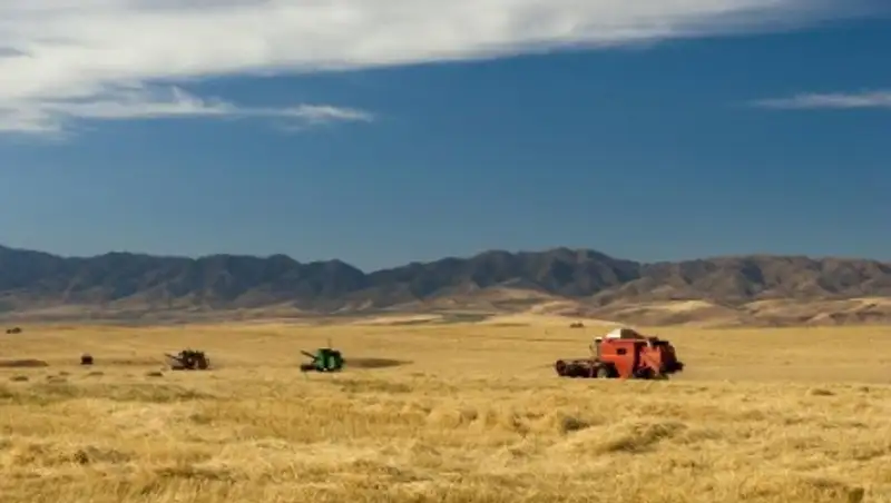 В Казахстане пробурили скважины, чтобы разгадать тайну сонной болезни