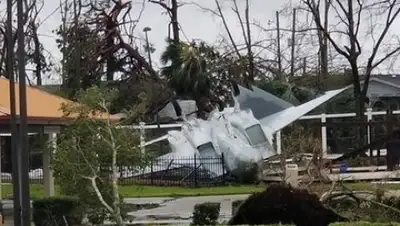 Christine Lynch / Twitter, фото - Новости Zakon.kz от 12.10.2018 08:13