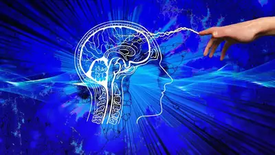 Невролог объяснил, что убивает мозг, фото - Новости Zakon.kz от 11.09.2023 13:32