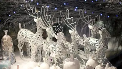 Zakon.kz, фото - Новости Zakon.kz от 12.11.2015 13:14