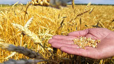 Zakon.kz, фото - Новости Zakon.kz от 10.07.2014 01:51