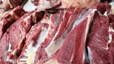 Zakon.kz, фото - Новости Zakon.kz от 25.10.2016 23:44