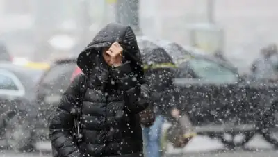 Zakon.kz, фото - Новости Zakon.kz от 23.11.2016 21:48