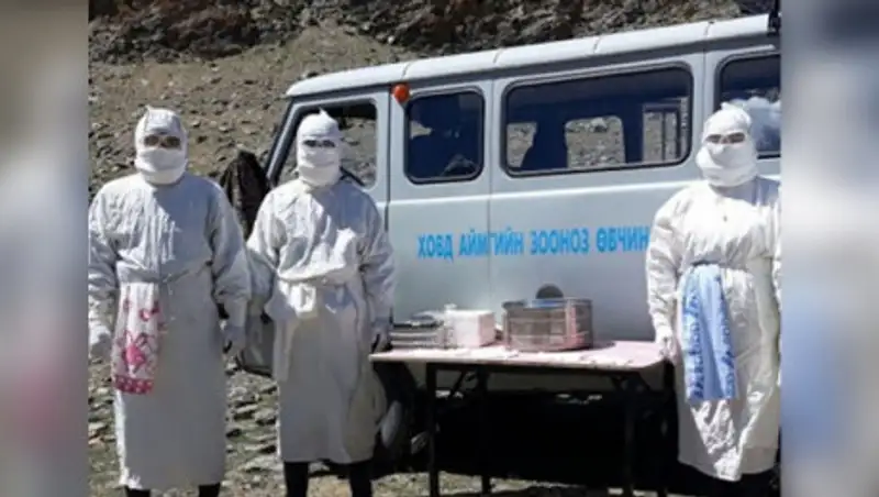 В Монголии ввели карантин из-за бубонной чумы