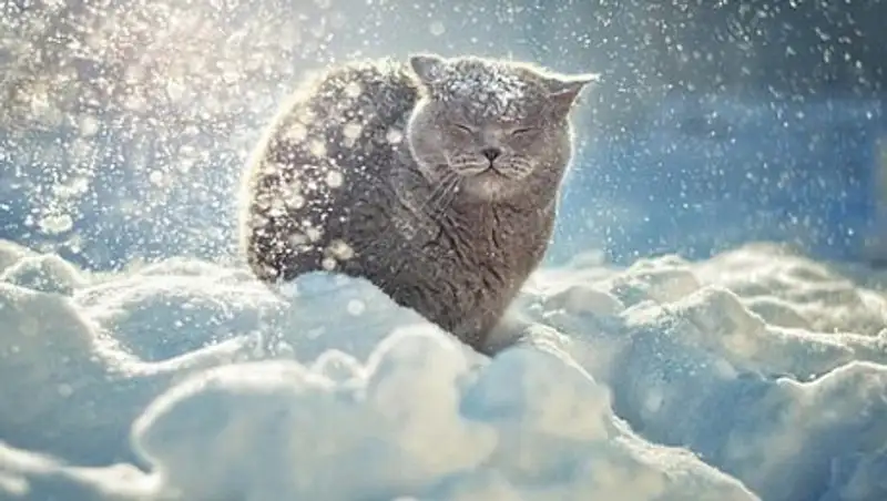 Неустойчивая погода ждет казахстанцев в среду