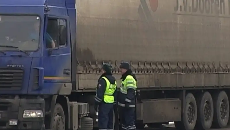 Факты незаконной перевозки мяса в Казахстан выявили инспекторы Россельхознадзора