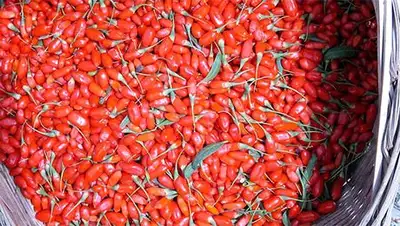 Zakon.kz, фото - Новости Zakon.kz от 23.10.2014 20:33