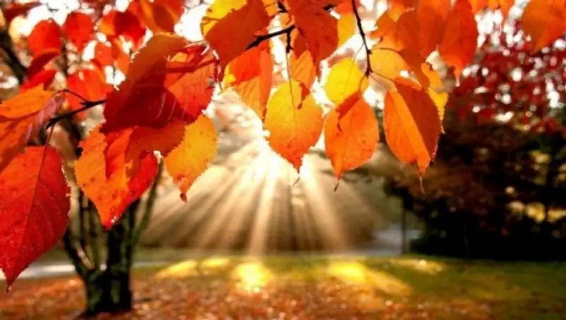 Октябрь еще побалует казахстанцев  ясными и теплыми деньками - синоптики