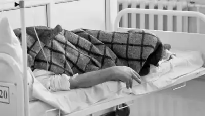 inform.kz, фото - Новости Zakon.kz от 12.08.2020 09:20