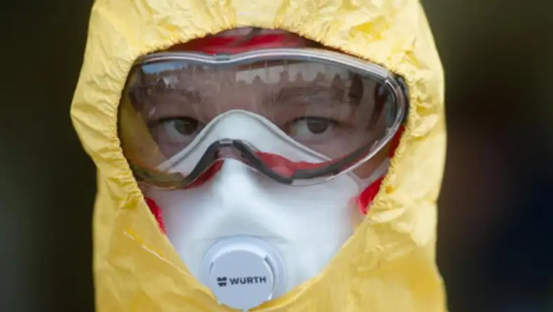 Минздрав о бубонной чуме из Монголии: Казахстанцы не заразятся