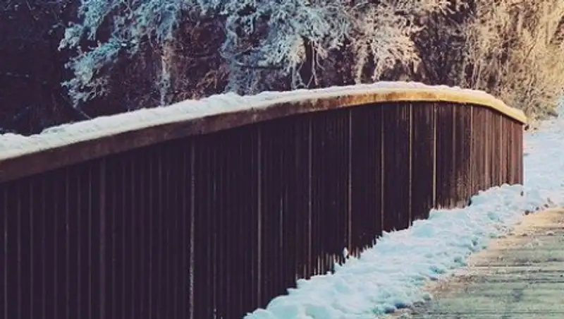 Кадет пытался совершить суицид в Павлодаре