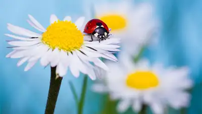 Zakon.kz, фото - Новости Zakon.kz от 08.08.2014 15:14