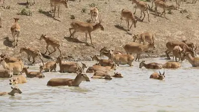 Казахстан, фермеры, МСХ, фото - Новости Zakon.kz от 26.05.2023 19:03