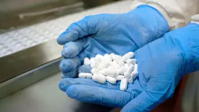 Depositphotos, фото - Новости Zakon.kz от 22.07.2020 16:54