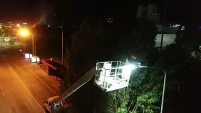 astana.gov.kz, фото - Новости Zakon.kz от 21.05.2020 11:57