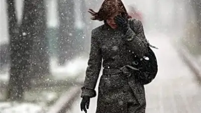 Фото: газета "Литер", фото - Новости Zakon.kz от 12.12.2017 10:09