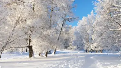 Zakon.kz, фото - Новости Zakon.kz от 15.10.2015 05:03