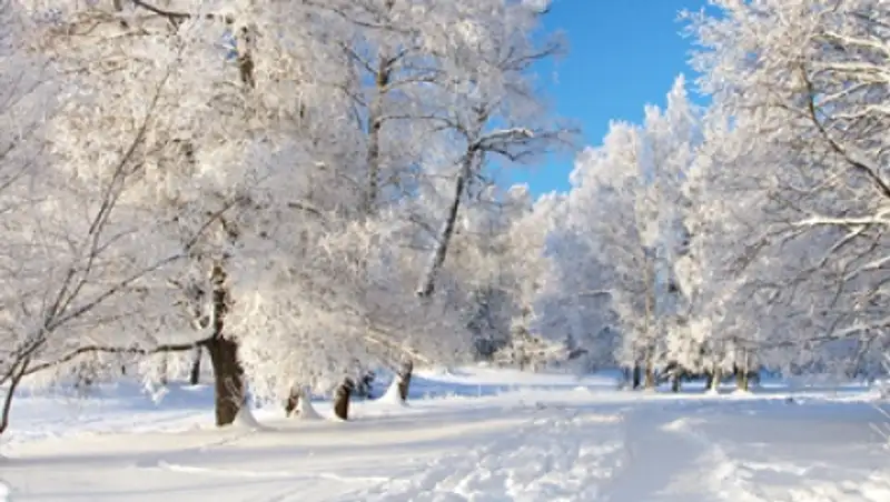 Какой будет грядущая зима в Казахстане?