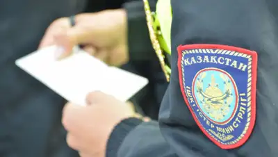 ИАЦ МГУ, фото - Новости Zakon.kz от 29.04.2019 11:35