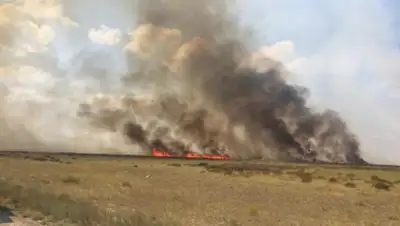 24kz, фото - Новости Zakon.kz от 09.06.2020 08:55