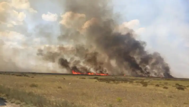 Ученые прогнозируют природные пожары летом на границе Казахстана и РФ