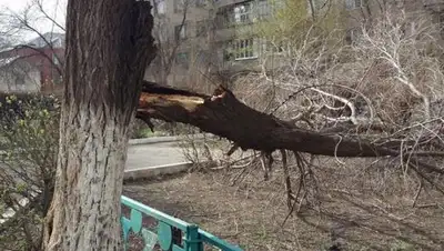 inform.kz, фото - Новости Zakon.kz от 29.04.2018 13:20