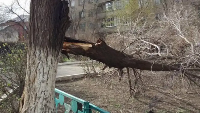 Стали известны подробности урагана в ЗКО