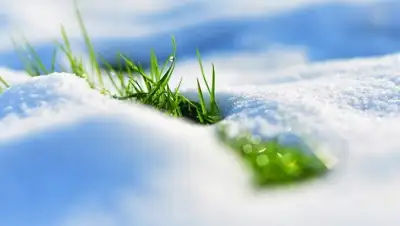 Zakon.kz, фото - Новости Zakon.kz от 05.03.2016 12:00