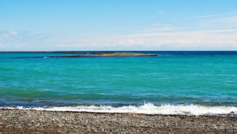 Алматы облысында орнитологиялық туризм дамып келеді